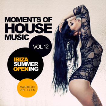 Various Artists - Moments Of House Music, Vol.12