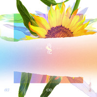 EXID - [Re:flower] PROJECT #3