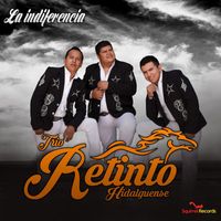 Trio Retinto Hidalguense - La Indiferencia