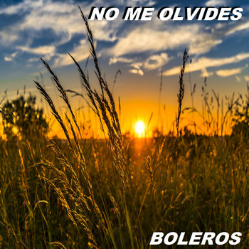Boleros - No Me Olvides