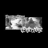 Terrorrythmus - Overdose EP