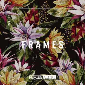 Various Artists - Frames Issue 17