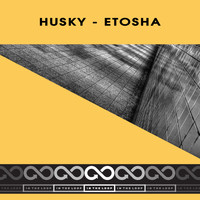 Husky - Etosha