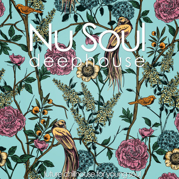 Various Artists - Nu Soul Deephouse (Future Chillhouse for Young Soul)