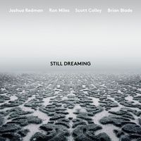 Joshua Redman - Still Dreaming (feat. Ron Miles, Scott Colley & Brian Blade)