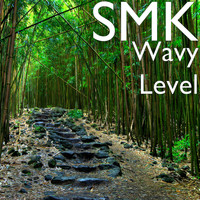 Smk - Wavy Level