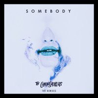 The Chainsmokers & Drew Love - Somebody (Remixes)