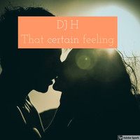 DJ H / - That certain Feeling