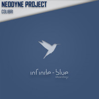 Neodyne Project - Colibri