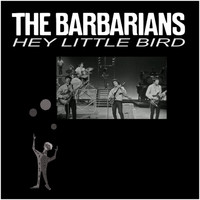 The Barbarians - Hey Little Bird