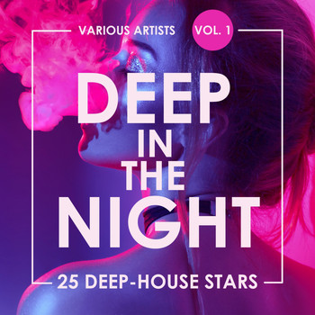 Various Artists - Deep in the Night, Vol. 1 (25 Deep-House Stars)