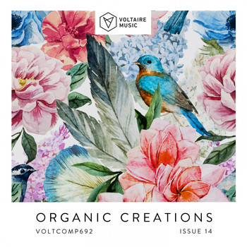Various Artists - Organic Creations Issue 14