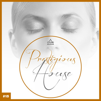 Various Artists - Prestigious House, Vol. 15