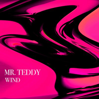 Mr. Teddy - Wind