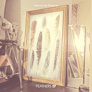 Various Artists - Feathers