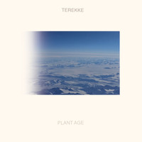 Terekke - Plant Age