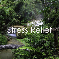 White Noise Babies, Sleep Sounds of Nature, Spa Relaxation & Spa - 16 Stress Relief Sounds of Nature - Ambient