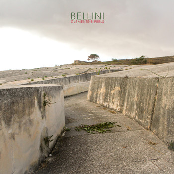 Bellini - Clementine Peels