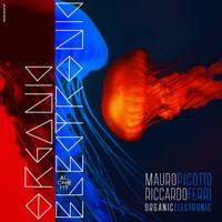 Mauro Picotto & Riccardo Ferri - Organic Electronic