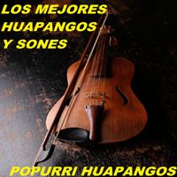 Los Mejores Huapangos Y Sones - Popurri Huapangos