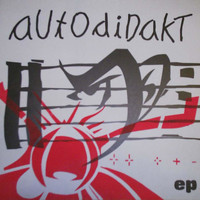 aUtOdiDakT - Autodidakt