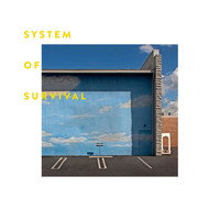 System Of Survival - Needle and Thread