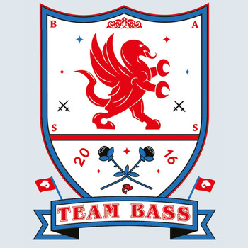 Various Artists - Team Bass