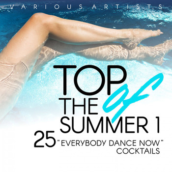 Various Artists - Top of the Summer (25 Everybody Dance Now Cocktails), Vol. 1