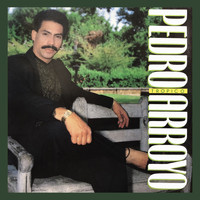 Pedro Arroyo - Tropico