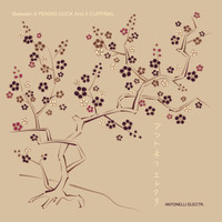 Antonelli - Live in Tokyo