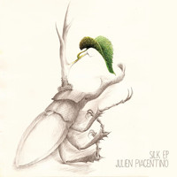 Julien Piacentino - Silk
