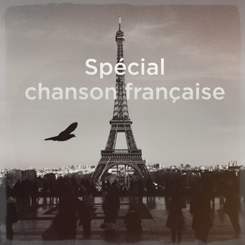 Multi-interprètes - Spécial chanson française