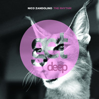 Nico Zandolino - The Rhythm