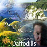 John Jenkins - Daffodills