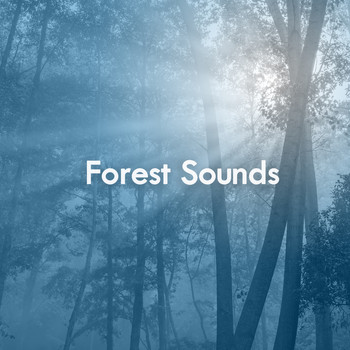 Various Artists - Forest Sounds