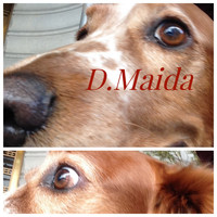 D.Maida / - Dog's Plan (Watch How You Speak My Name)