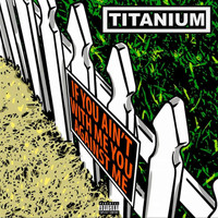 Titanium - If You Ain't With Me You Against Me (Explicit)