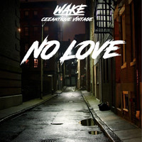 Wake - No Love (Explicit)