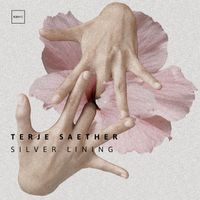Terje Saether - Silver Lining
