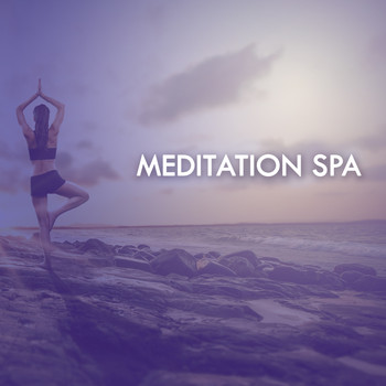 Various Artists - Meditation Spa