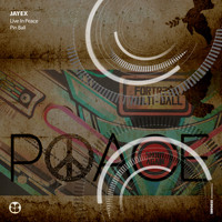 Jayex - Leave in Peace - Pin Ball
