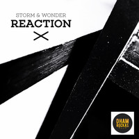 Storm & Wonder - Reaction