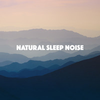 Rain, Ocean Sounds and Rainfall - Natural Sleep Noise