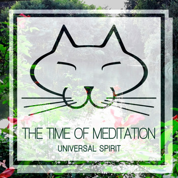 The Time Of Meditation - Universal Spirit