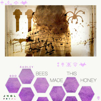 Boo Radley - Bees Made this Honey