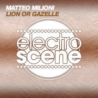 Matteo Milioni - Lion or Gazelle