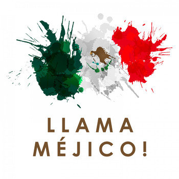 Various Artists - Llama Méjico! (Nueva Música Electrónica)