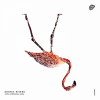 Adonis Rivera - Jutsu (Original Mix)