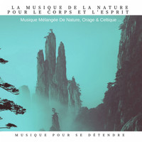 Musique Pour Se Détendre - La musique de la nature pour le corps et l'esprit (Musique mélangée de nature, orage & celtique ...)