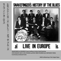 Snakefinger - Snakefinger's History of the Blues